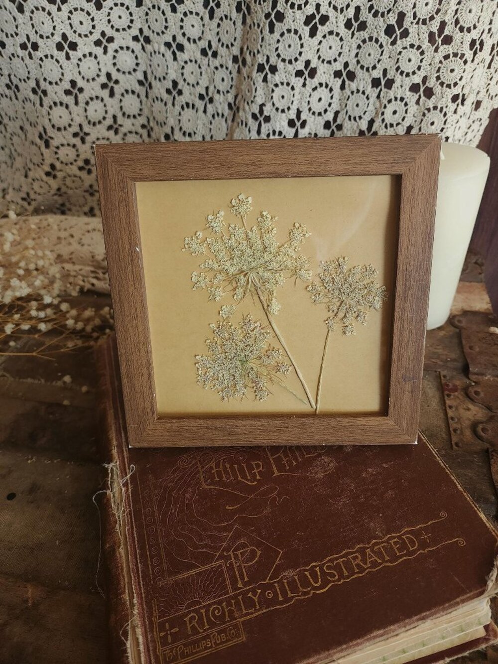 Framed Handmade Pressed Dried Flower, Queen Annes Lace in Brown Wood Look Frame,